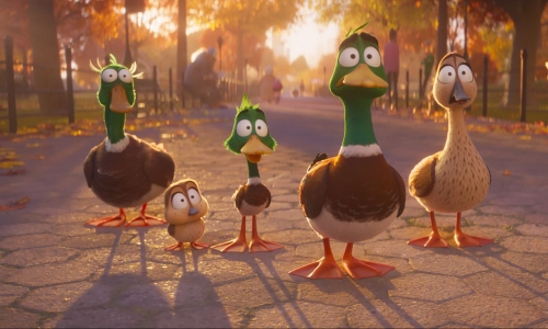 Migration