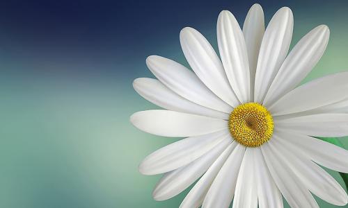 Village prévention bien être et Santé